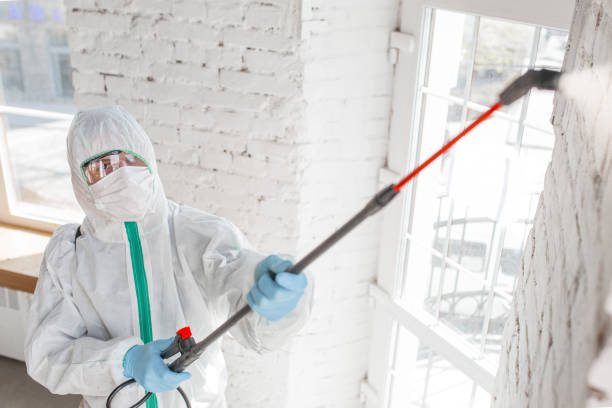Professional Mold Removal in Northfield, NJ