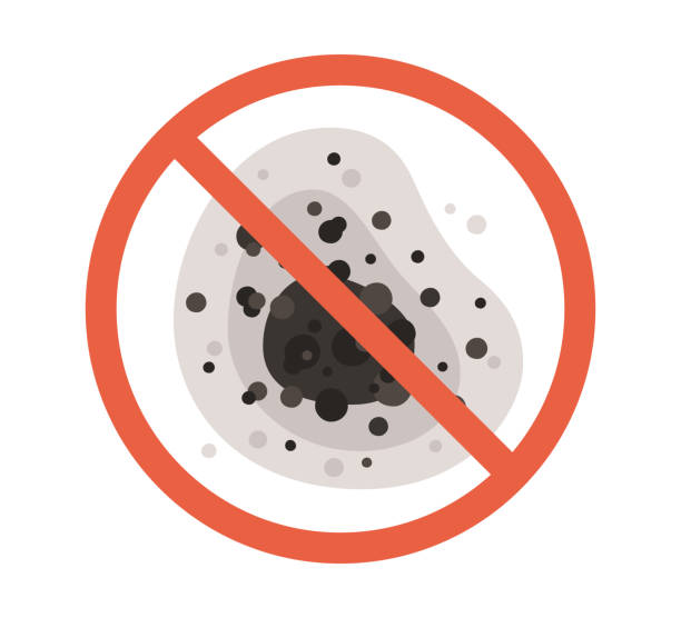 Best Basement Mold Removal  in Northfield, NJ