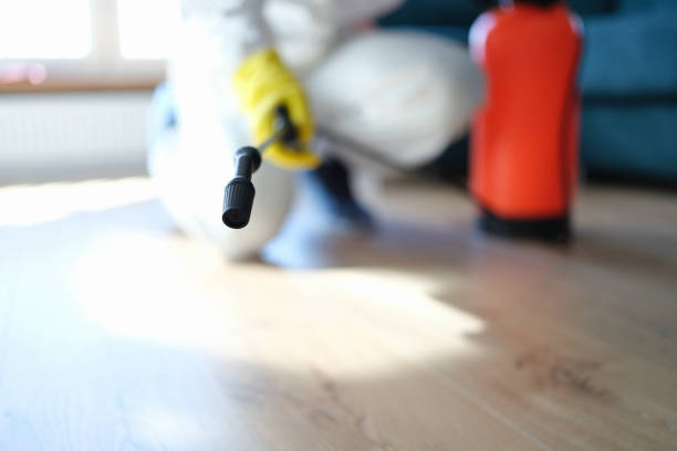 Best Biohazard Mold Removal  in Northfield, NJ