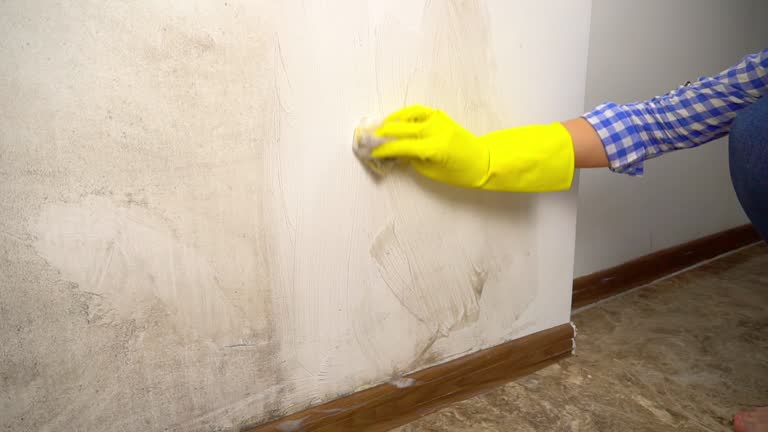 Best Real Estate Mold Inspection  in Northfield, NJ