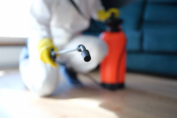 Best Water Damage & Mold Remediation  in Northfield, NJ