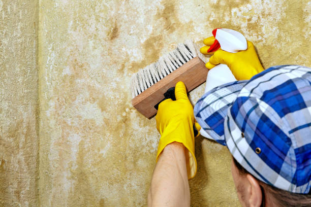 Best Air Quality Testing for Mold Spores  in Northfield, NJ