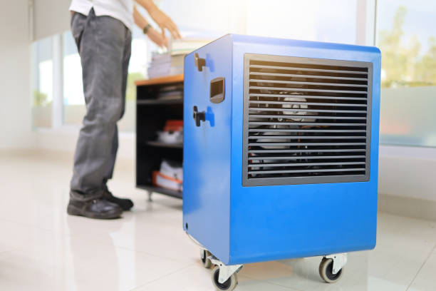 Mold Removal for HVAC Installations in Northfield, NJ