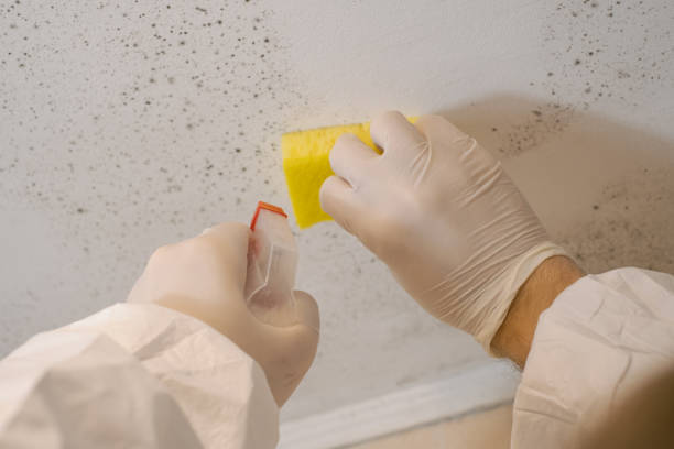 Best Post-Remediation Verification Testing  in Northfield, NJ
