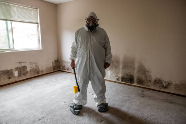 Best Mold Remediation for Healthcare Facilities  in Northfield, NJ