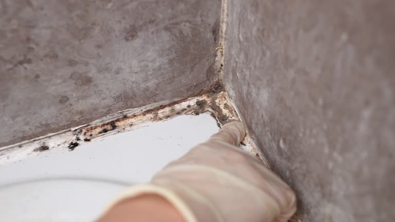 Best Indoor Air Quality Assessment  in Northfield, NJ