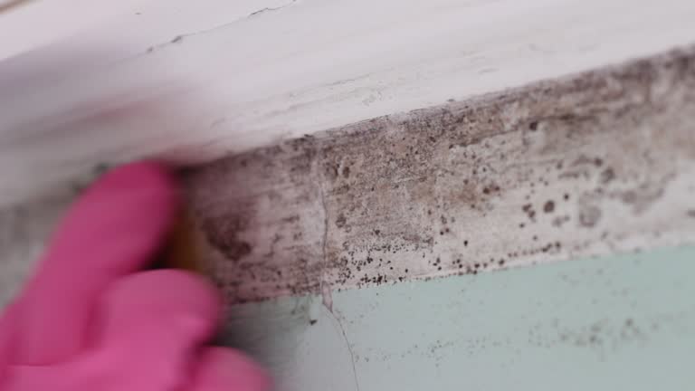 Best Airborne Mold Testing  in Northfield, NJ